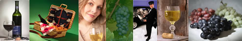 Wine Tours in Long Island  - LI Vineyard Tours - specializing in limousine services for wine tasting in the Long Island, New York area.  Tours featuring professional chauffeurs, luxury sedans, stretch limousines, vans, more.